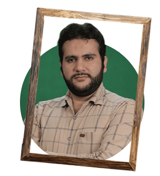 Image module