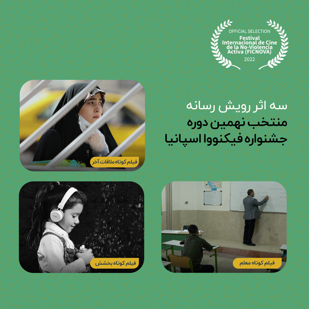 Image module